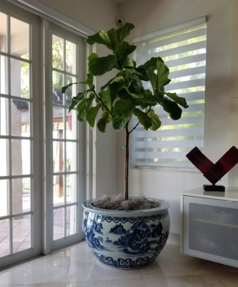 Blue and White porcelain vase